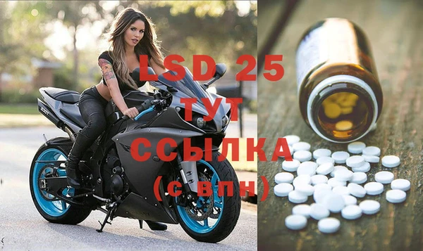 гашик Зеленокумск